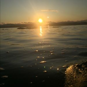 Meet your Posher, Willow